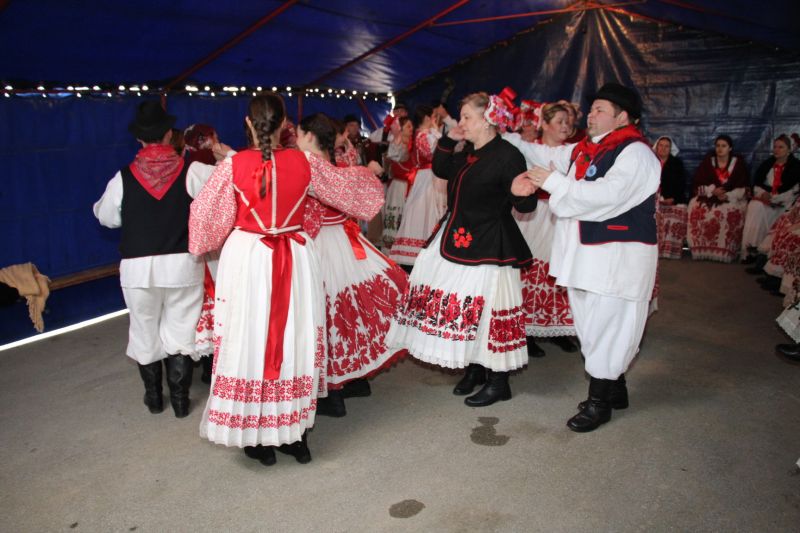 vicekovo_novosel_3 vicekovo_novosel_3