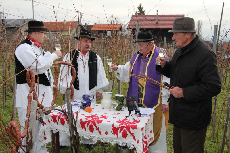 vincekovo_mbreg_2 vincekovo_mbreg_2