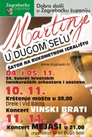 martinje_dugo_selo_city_light_-_Copy