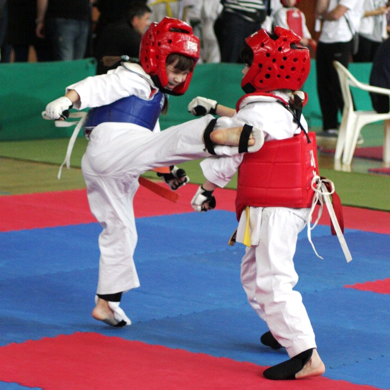 kyokushin 3