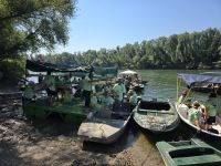 IMG-20240629-WA0006