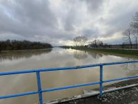 sava_1