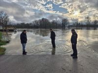 sava_4