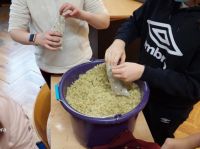 a770b311-ddcc-4259-b52c-4c327ede160b