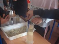 bb3e0de0-6de8-40d2-b618-753b5eff9fc5