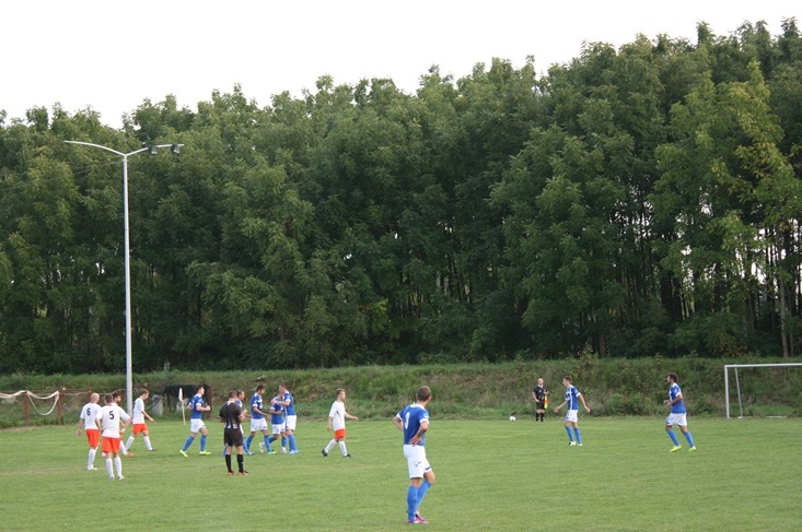 SAVA  BISTRA 14