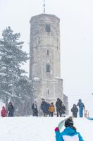 BG178934