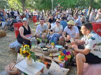 piknik_16