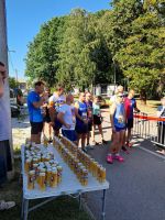 piknik_18