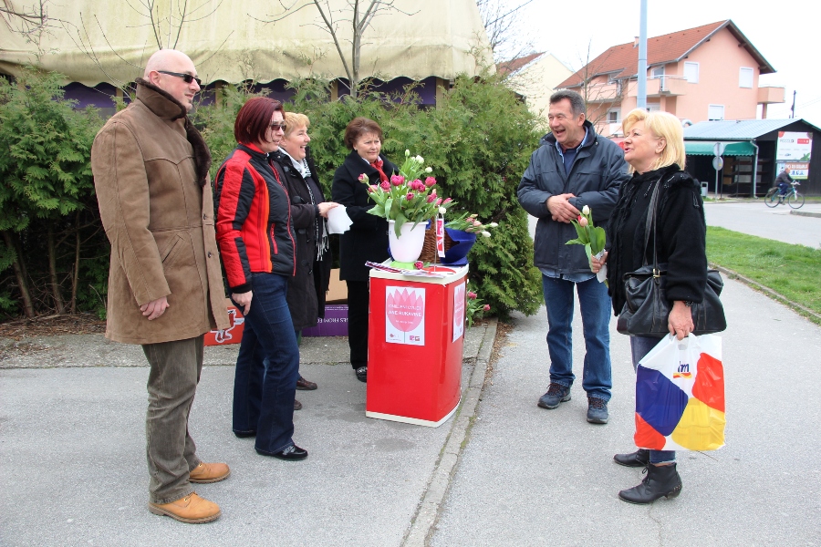 tulipani 1
