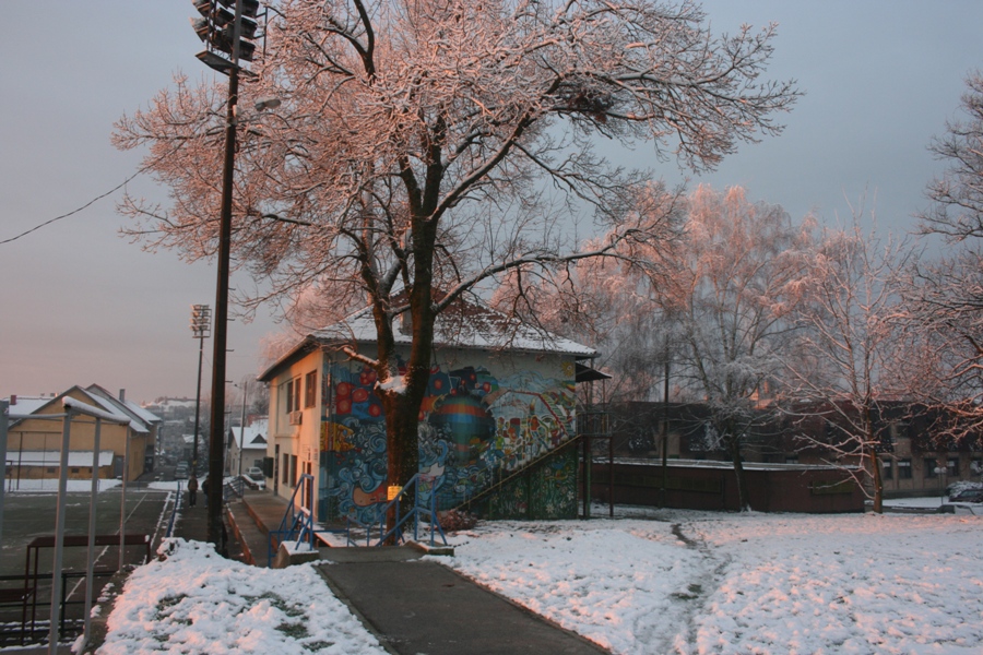 čestitika